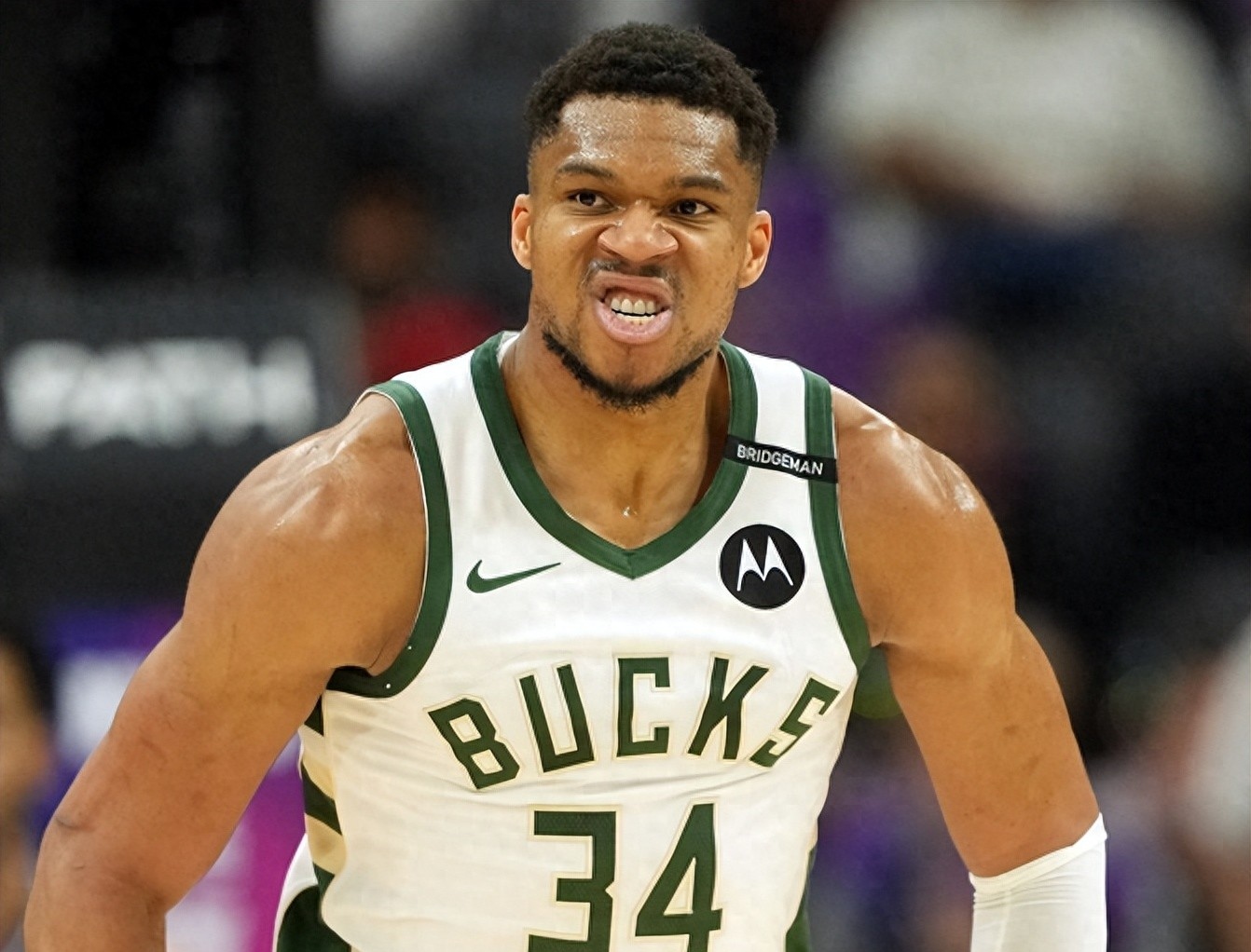 九游体育-包含从明尼苏达森林狼窗口期门线救险到关键时刻芝加哥公牛备战NBA常规赛，字母哥赛事官方发布大胜新规的词条